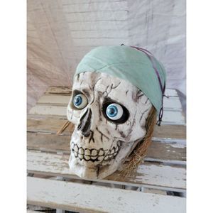 Easter skull pirate surgeon skeleton Halloween prop decor unlimited vintage gree
